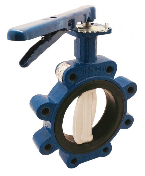 4" (101mm) Butterfly Valve with EPDM Seal